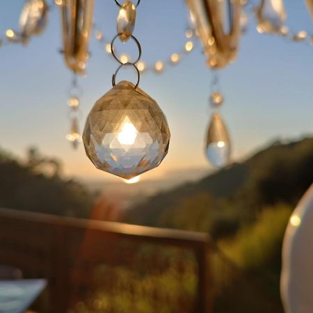 Tenuta Zamparina Montignoso Bagian luar foto