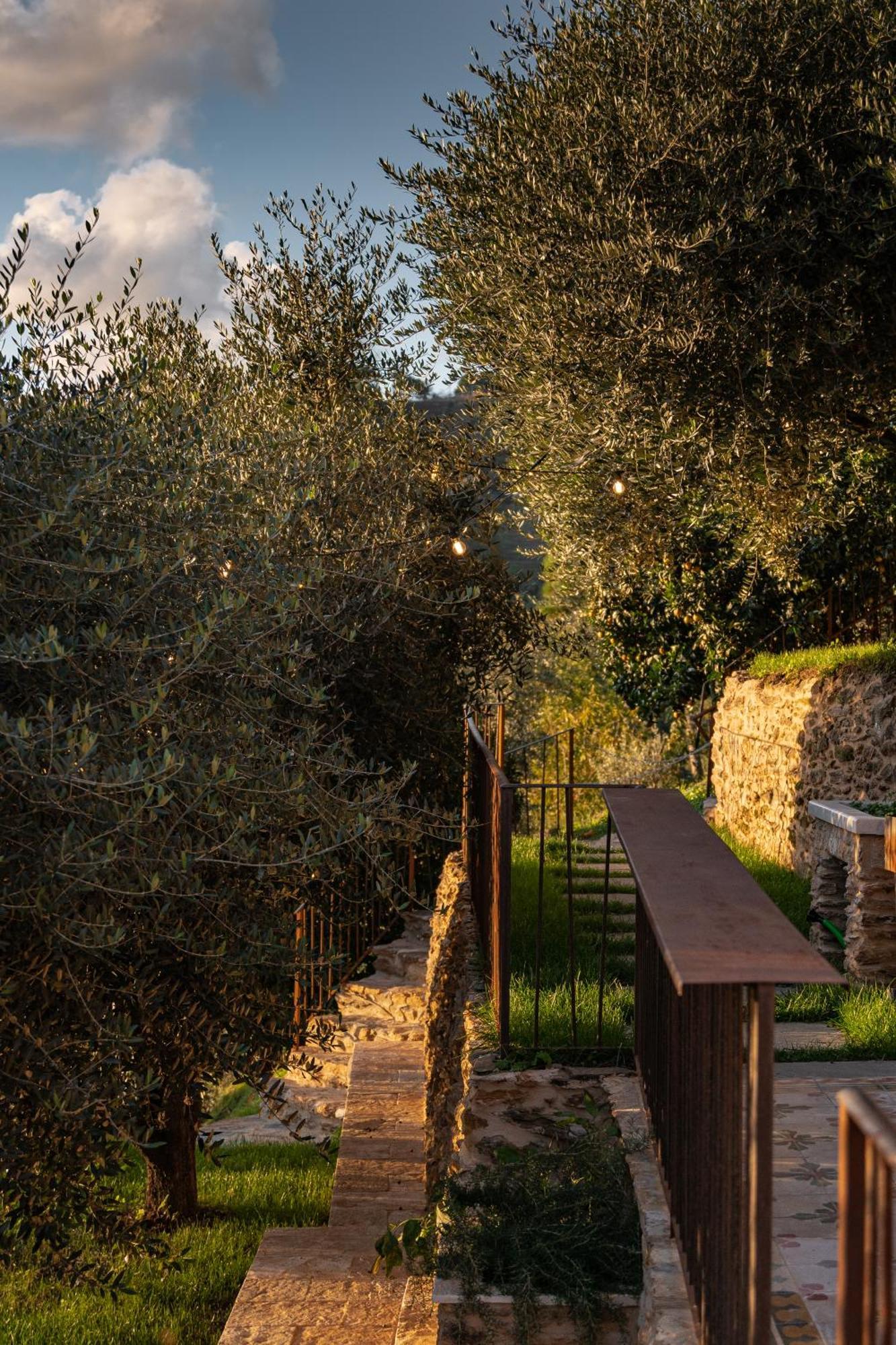 Tenuta Zamparina Montignoso Bagian luar foto