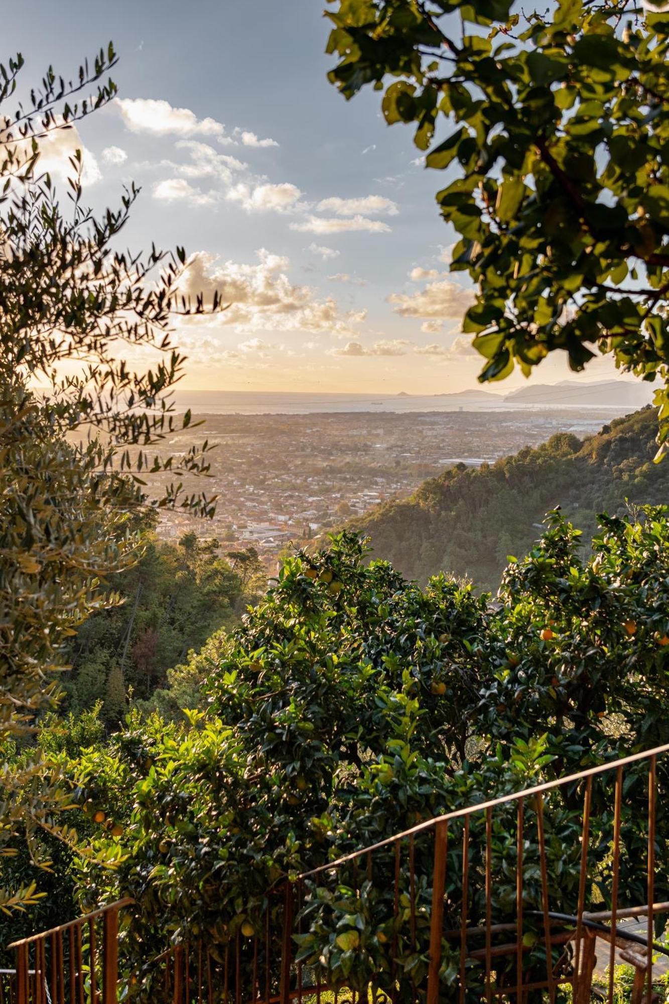 Tenuta Zamparina Montignoso Bagian luar foto