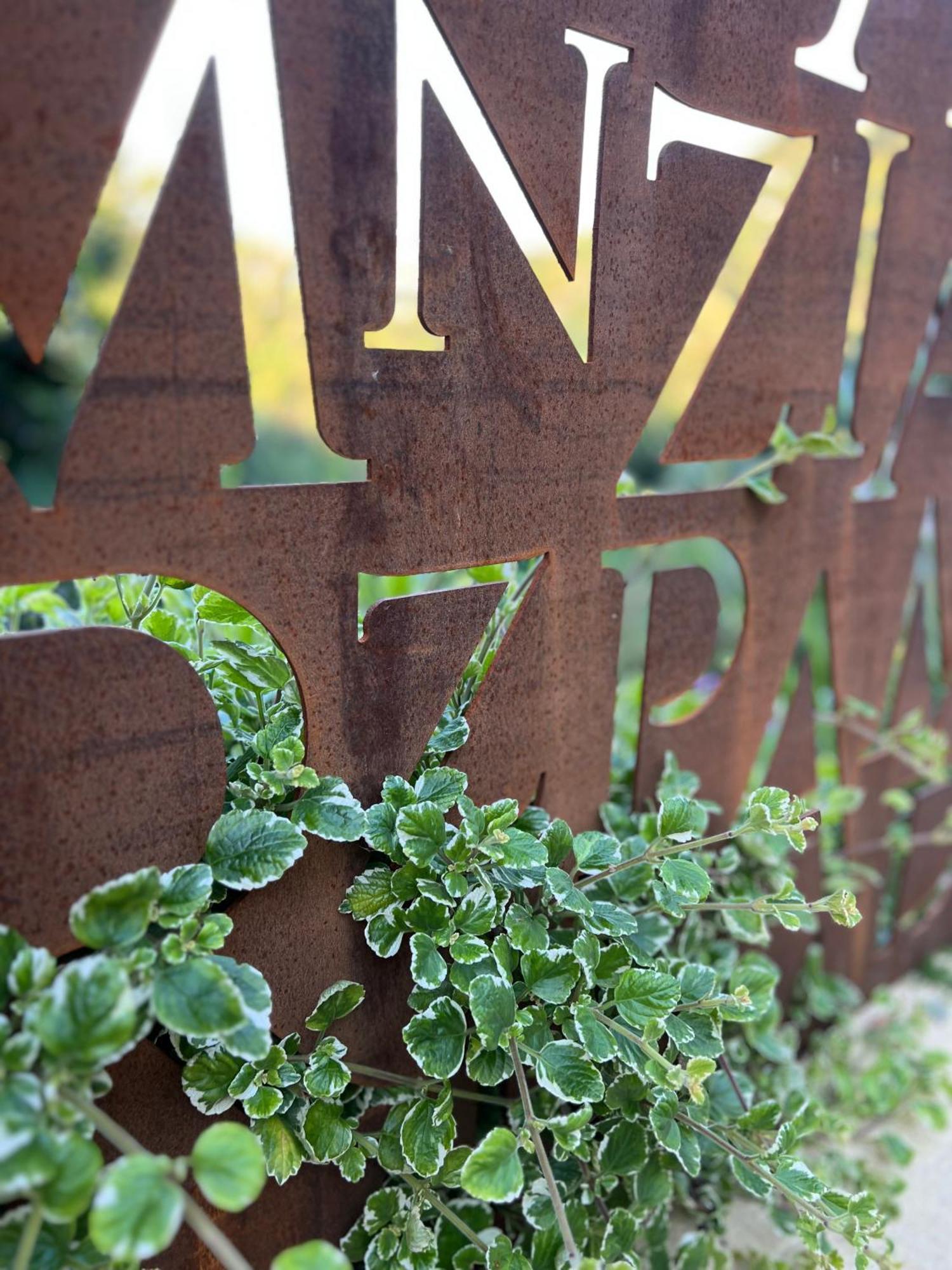 Tenuta Zamparina Montignoso Bagian luar foto